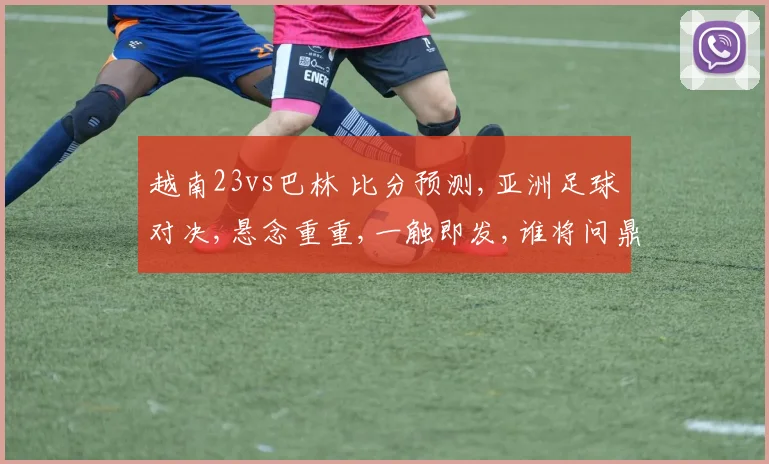 越南23vs巴林 比分预测,亚洲足球对决,悬念重重,一触即发,谁将问鼎